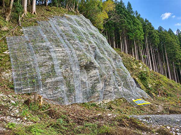 株式会社グリーンシステム | 法面保護工事